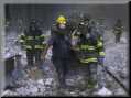fdny.save